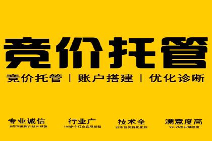 竞价推广与SEM托管结合的营销策略——某电商平台的实践